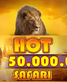 Hot Safari 50 000